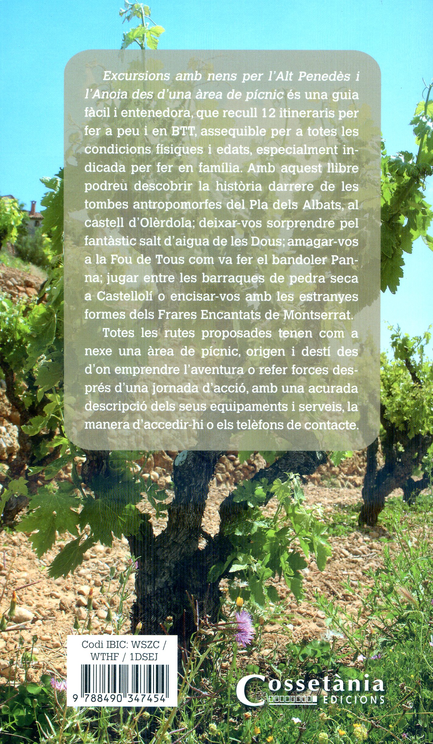 Excursions amb nens per l'Alt Penedès i l'Anoia des d'una àrea de picnic - Miniatura 2